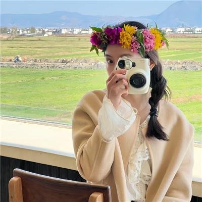 三个火枪手:达达尼昂